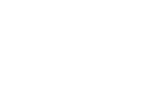 Panevezys_logo_White